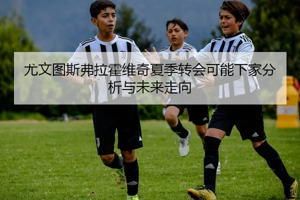 尤文图斯弗拉霍维奇夏季转会可能下家分析与未来走向